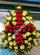 coroana